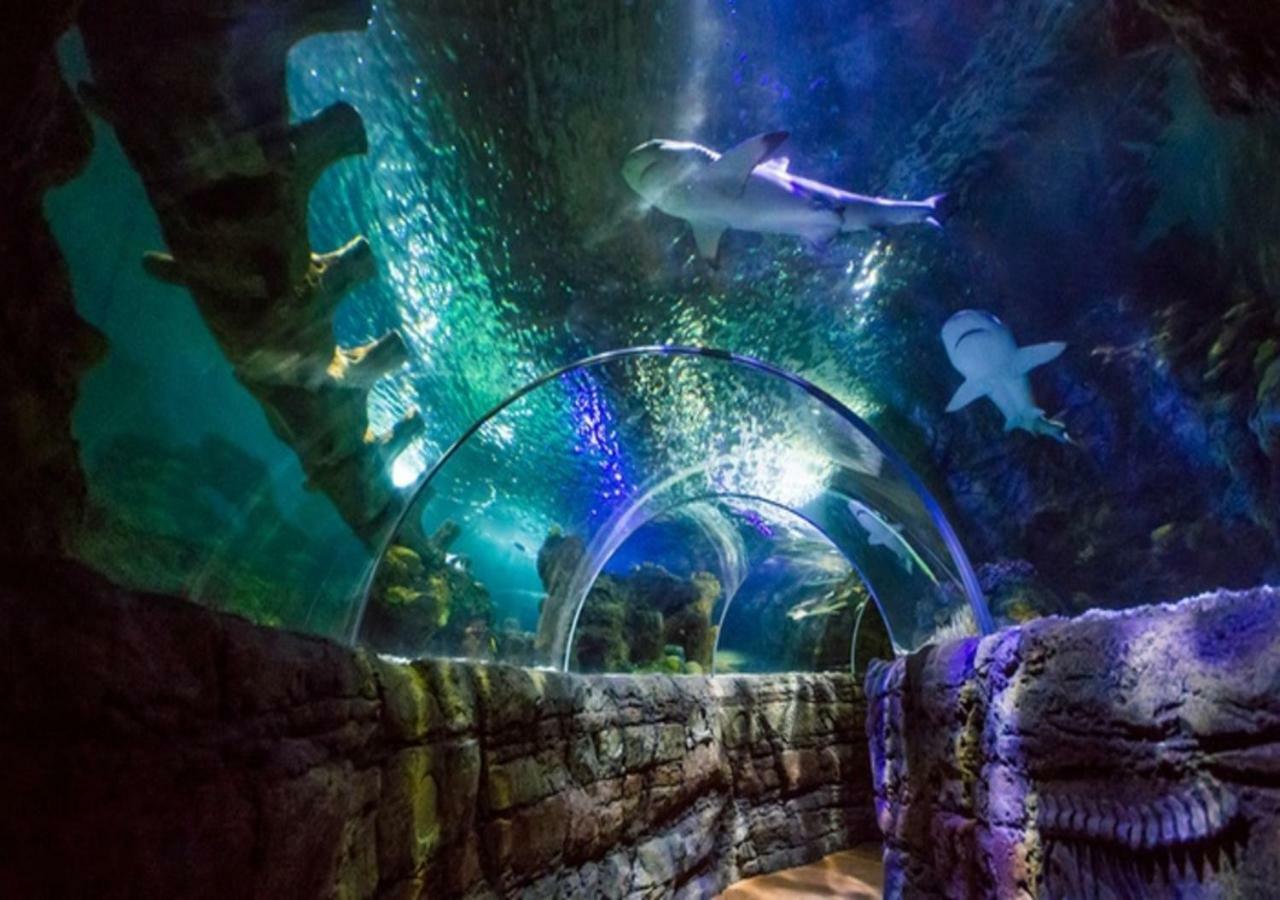 Hercules Sea Views เบนัลมาเดนา ภายนอก รูปภาพ